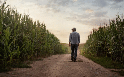 Mai multi filipinezi vor lucra în agricultura din România. Țara a rămas fără mână de lucru