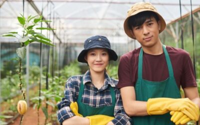 Se schimbă regulile importului de personal străin în România