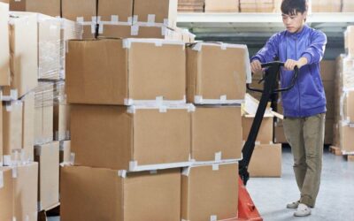 WORK FROM ASIA : România riscă sancţiuni din cauza lucrătorilor non-UE plecaţi ilegal în UE